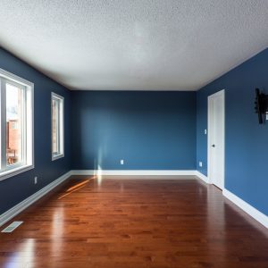 Painting and decorating 